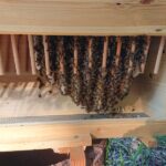 Einraum-Home-Hive