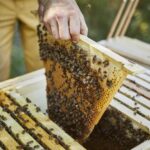 Kontrolle-Einraume-Home-Hive-20-5