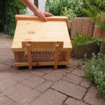 Home-Hive-Baukostruktion-Sicht-unten