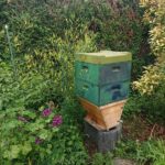 Home-Hive-in-Phillipsburg