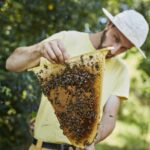 Obertraeger-Home-Hive